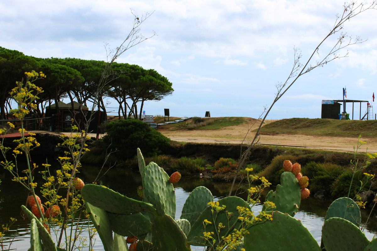 Reiterparadies Marina di Orosei