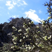 Erlebe die Gennargentu-Bergtour in Sardinien