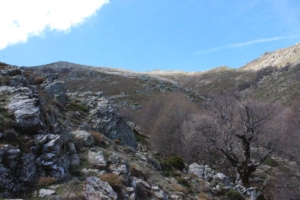 Tagestour in den Gennargentu-Bergen