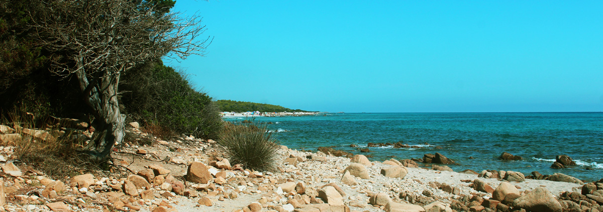 Birdwatching, Trekking und Baden an 5 diversen Sand- und Kiesel-Stränden in Ost-Sardinien