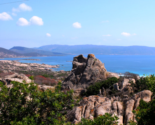 Im Jeep kommst du an unzugängliche Orte des Naturparks Insel Asinara