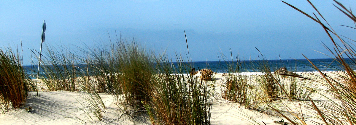 Costa Del Sud, in Südsardinien wechseln sich Fels- und Pudersandstrände ab