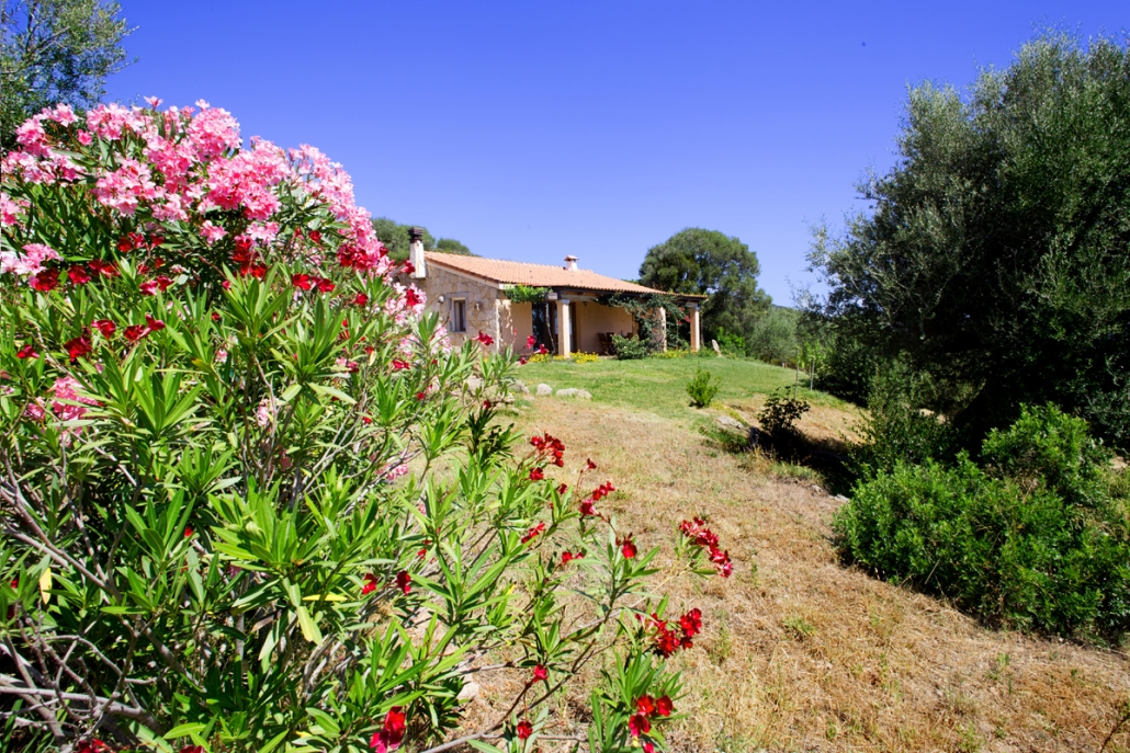 Ferienhaus Aglientina in Nordsardinien nahe Costa Smeralda hier buchen und mieten