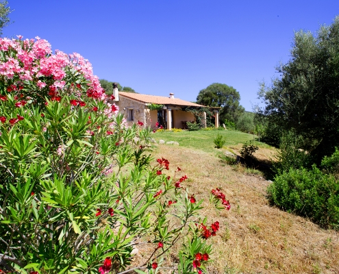 Ferienhaus Aglientina in Nordsardinien nahe Costa Smeralda hier buchen und mieten