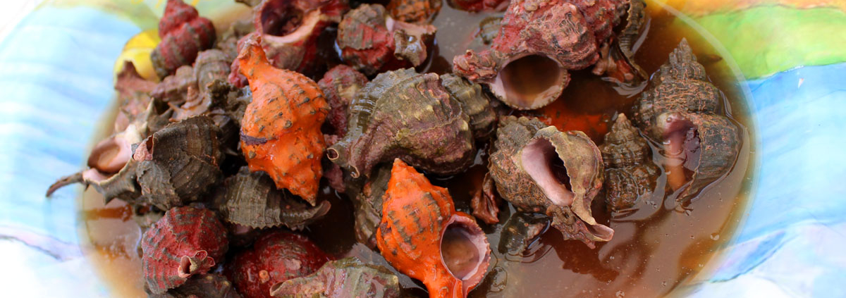 Bocconimuscheln in Sauce aus Sardinien