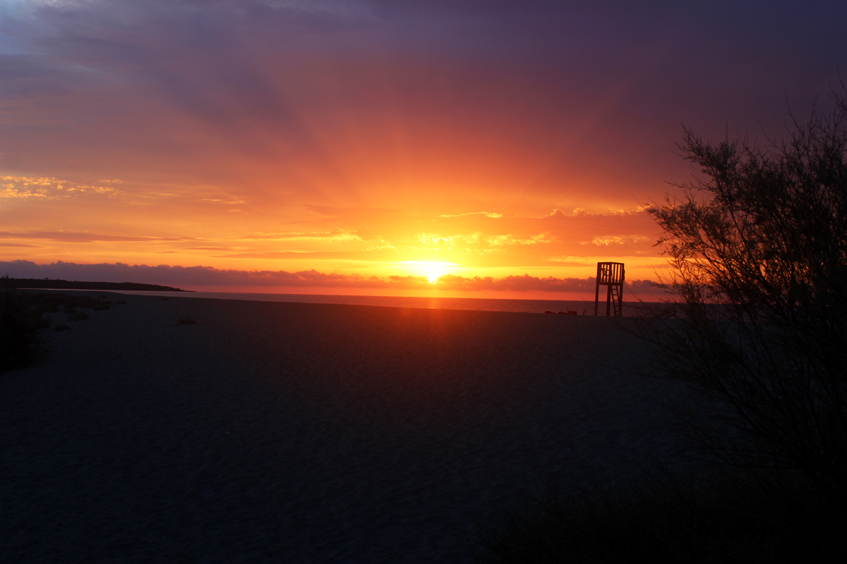 Ausreiten in Sardinien in den Sonnenaufgang buchen