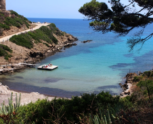 Buche deinen Tagesausflug quer über die Insel Asinara
